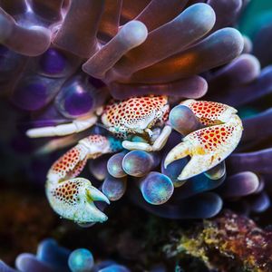 Image post by @discovery on Instagram