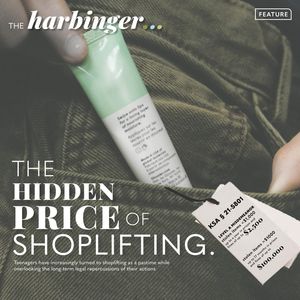 Image post by @smeharbinger on Instagram