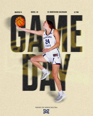 Image post by @msubobcatswbb on Instagram