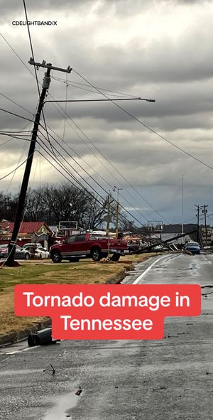 Image post by @foxweather on TikTok