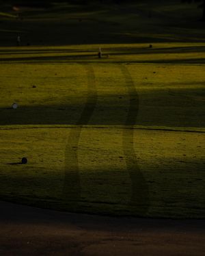 Image post by @joeydavisson on Instagram