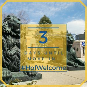 Image post by @hofstrau on Instagram