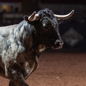 Image post by @bullfightersonly on Instagram