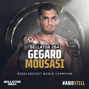 Image post by @bellatormma on Instagram