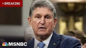 Video post by @msnbc on YouTube