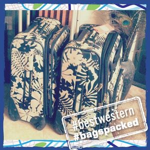 Image post by @bestwestern on Instagram
