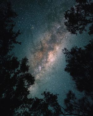 Image post by @vsco on Instagram