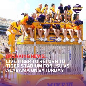 Image post by @lsutigertv on Instagram