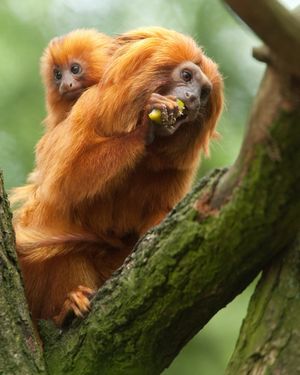 Image post by @discovery on Instagram