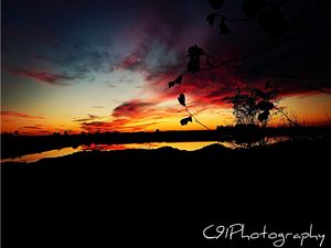 Image post by @c91photography on Instagram