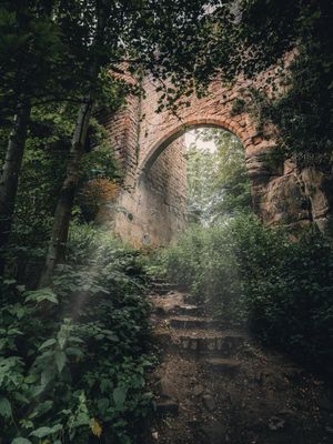 Image post by @VisitScotland on Twitter
