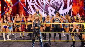 Image post by @ivynile_wwe on Instagram