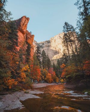 Image post by @nauflagstaff on Instagram
