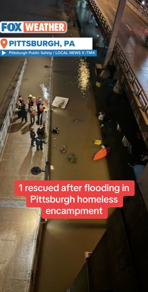 Image post by @foxweather on TikTok