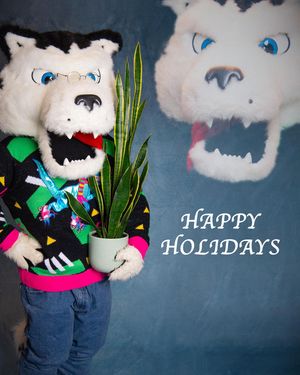 Image post by @northeastern on Instagram