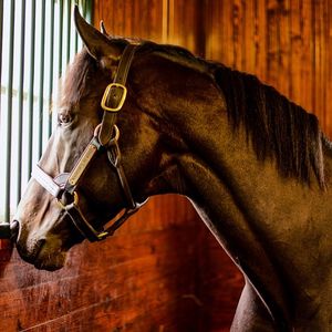 Image post by @spendthriftfarm on Instagram