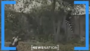 Video post by @newsnation on YouTube