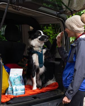Image post by @triumphpetfood on Instagram