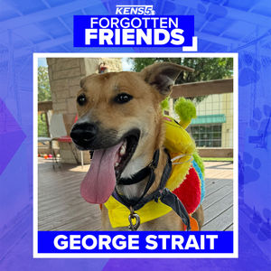Image post by @kens5 on Instagram
