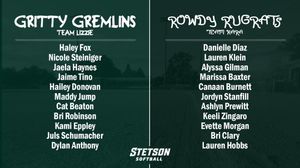 Image post by @stetsonsoftball on Instagram