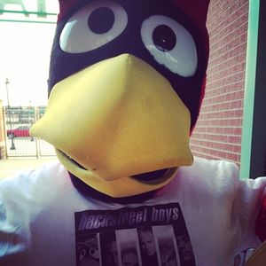 Image post by @springfield_cardinals on Instagram