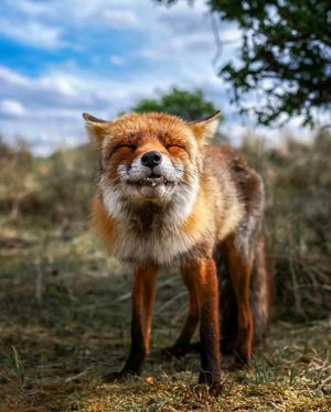 Image post by @discovery on Instagram