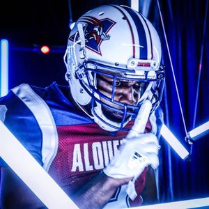 Image post by @mtlalouettes on Instagram