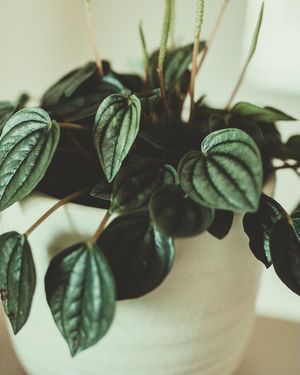 Image post by @ninamarie_creative on Instagram