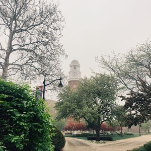Image post by @olivetnazarene on Instagram
