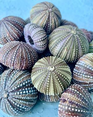 Image post by @epicsaltylife on Instagram