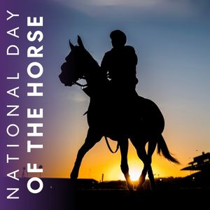 Image post by @breederscup on Instagram