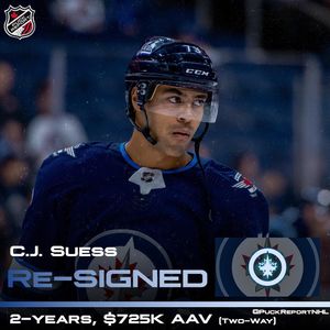Image post by @puckreportnhl on Instagram