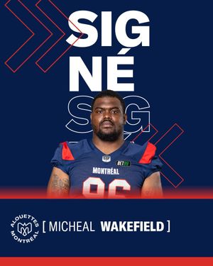Image post by @mtlalouettes on Instagram