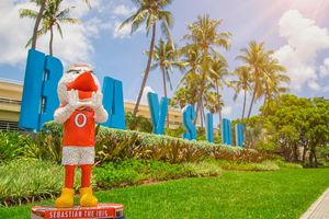 Image post by @univmiami on Instagram