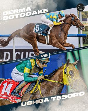 Image post by @worldhorseracing on Instagram