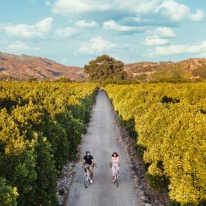Image post by @ojaivalleyinn on Instagram