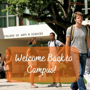 Image post by @umiamicas on Instagram