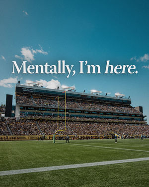 Image post by @hamiltontigercats on Instagram