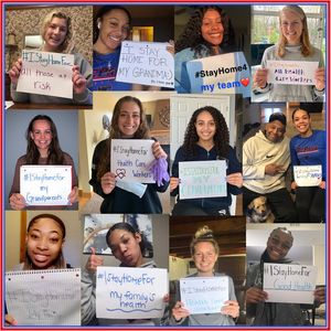 Image post by @depaulwbbhoops on Instagram