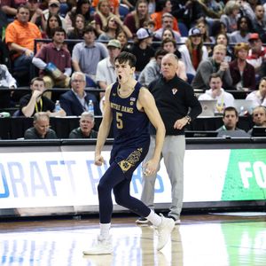 Image post by @NDmbb on Twitter