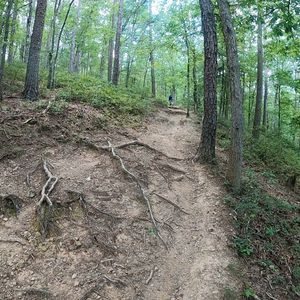 Image post by @bikerumor on Instagram