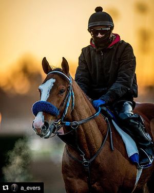 Image post by @spendthriftfarm on Instagram
