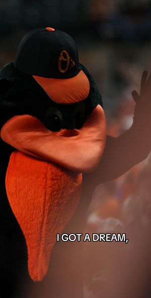 Image post by @orioles on TikTok