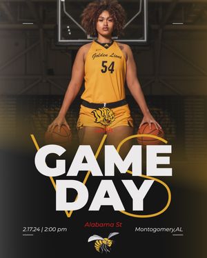 Image post by @uapblionswbb on Instagram