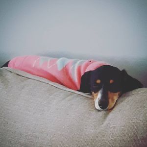Image post by @hollysmee on Instagram