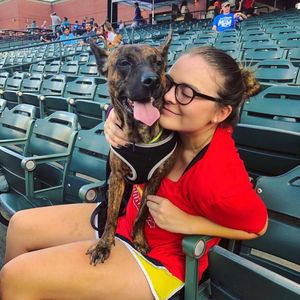 Image post by @memphisredbirds on Instagram