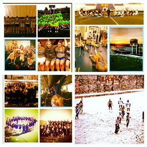 Image post by @hofstra_wlax on Instagram