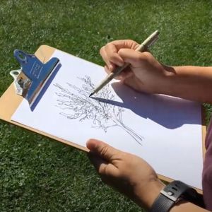Image post by @kidsgardening on Instagram