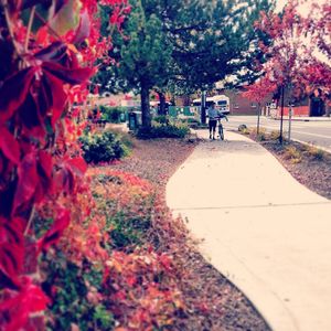 Image post by @nauflagstaff on Instagram