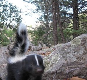 Image post by @nationalparkservice on Instagram